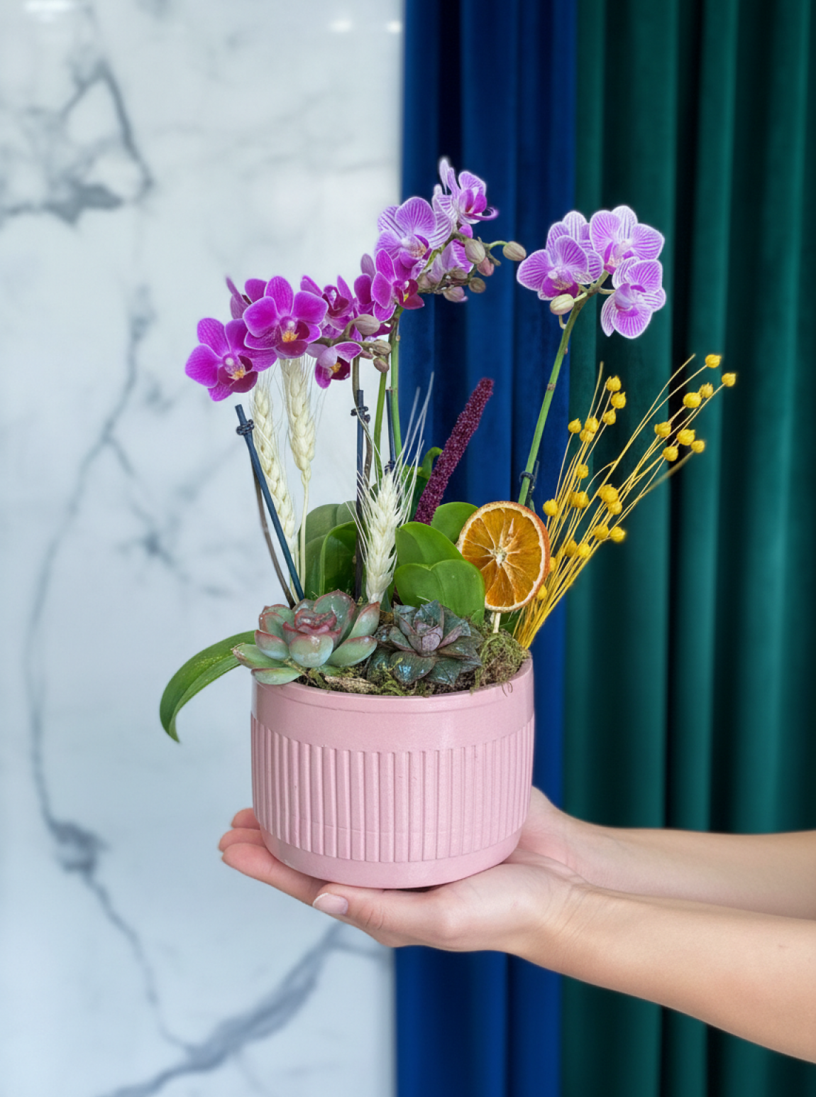 Mor Mini Orkide Ve Sukulent  Aranjmanı