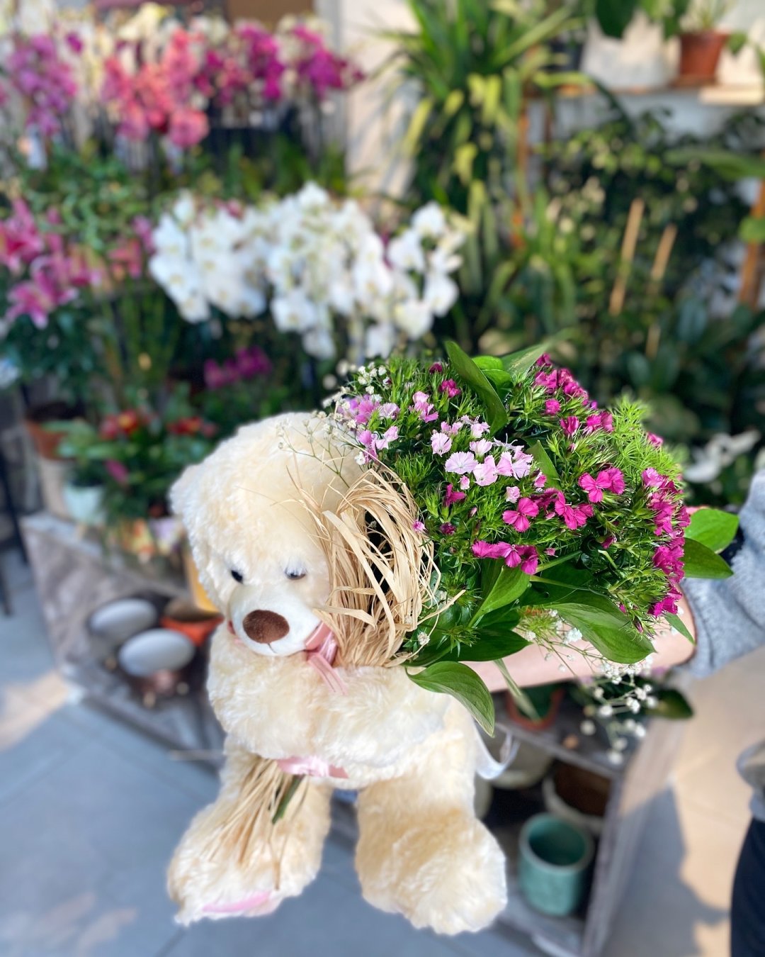 Ayıcığın Bahçesi