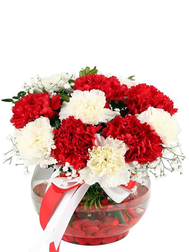 Cam Fanusta Karanfiller